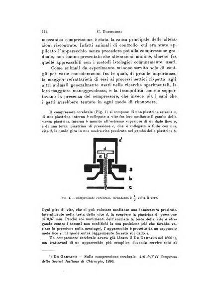 Rivista di neurologia