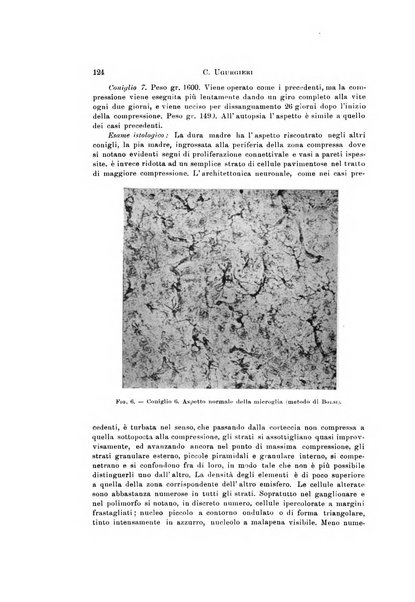 Rivista di neurologia