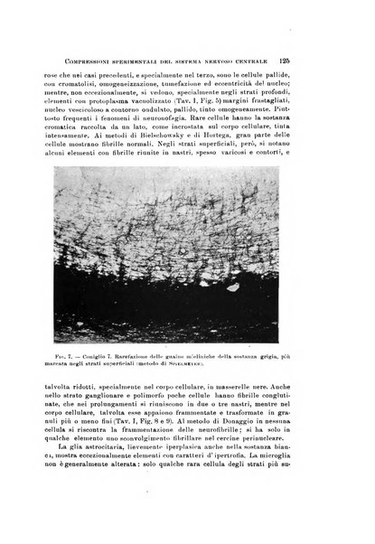 Rivista di neurologia