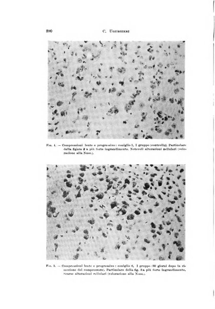 Rivista di neurologia