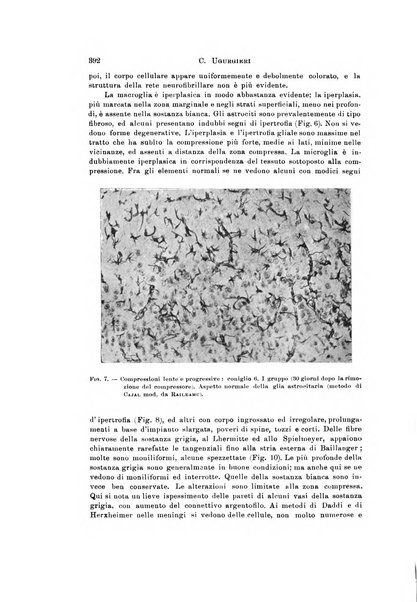 Rivista di neurologia