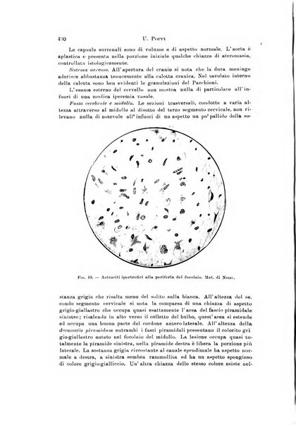 Rivista di neurologia