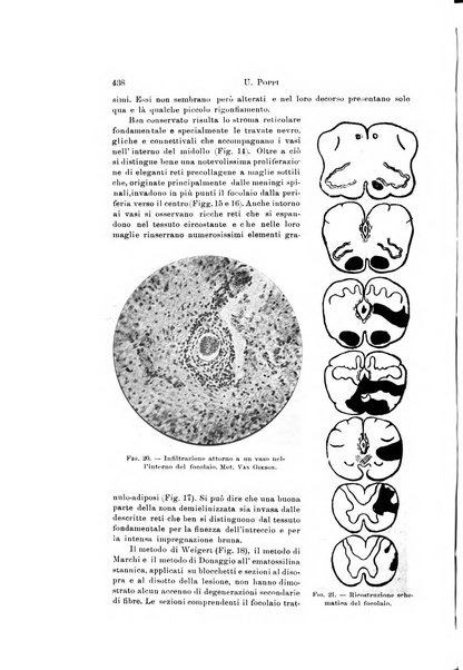 Rivista di neurologia