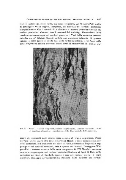 Rivista di neurologia