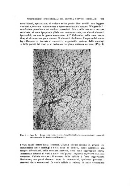 Rivista di neurologia