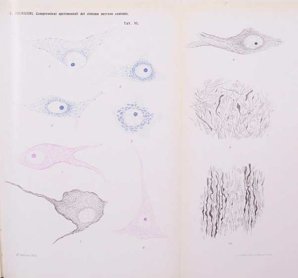 Rivista di neurologia