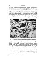 giornale/NAP0076295/1934/unico/00000806