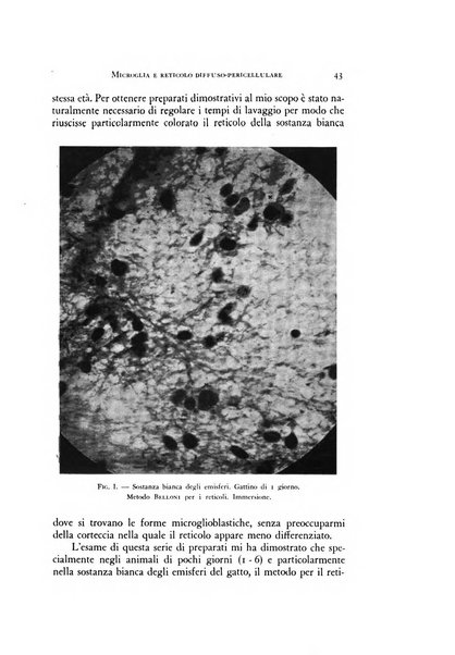 Rivista di neurologia