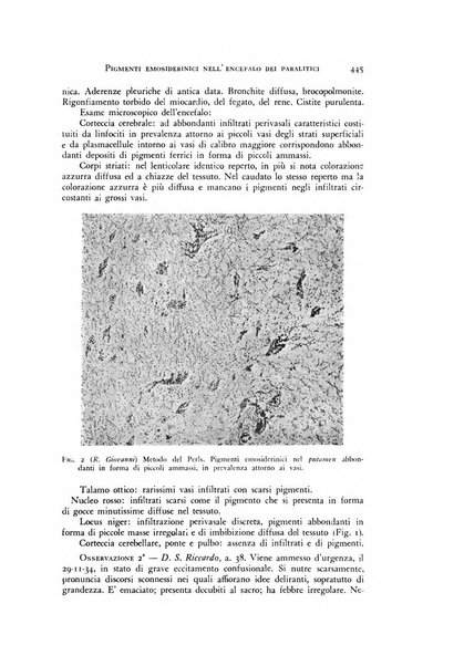 Rivista di neurologia