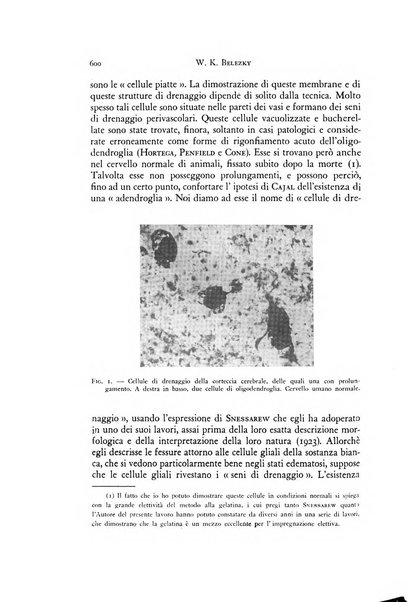 Rivista di neurologia