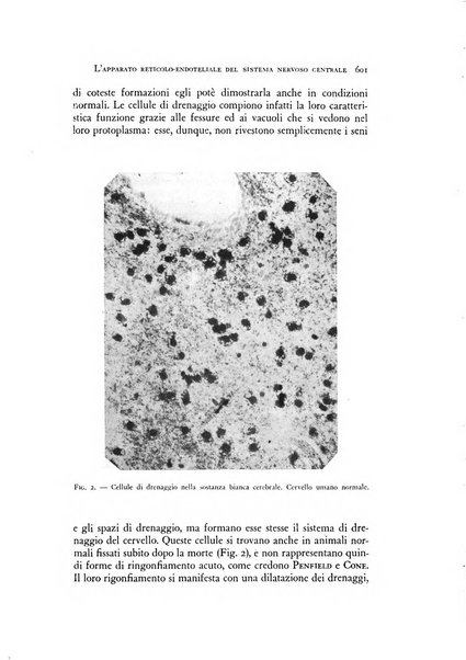 Rivista di neurologia