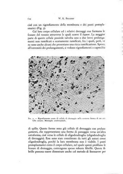 Rivista di neurologia