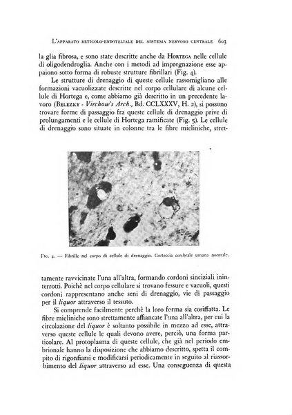 Rivista di neurologia