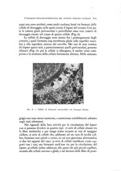 Rivista di neurologia