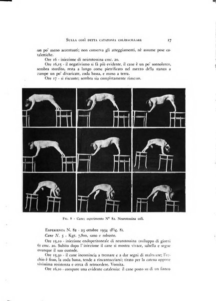 Rivista di neurologia