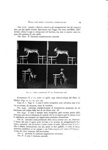 Rivista di neurologia