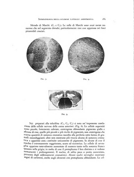 Rivista di neurologia