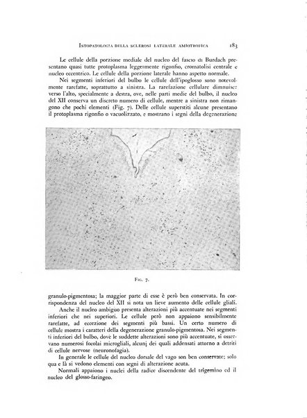 Rivista di neurologia