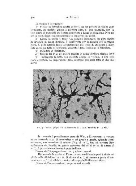 Rivista di neurologia