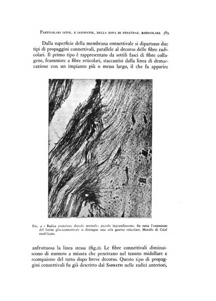 Rivista di neurologia