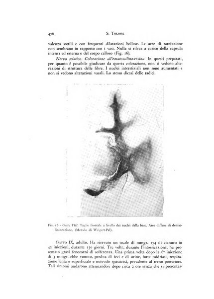 Rivista di neurologia