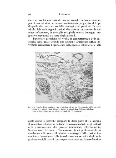 Rivista di neurologia