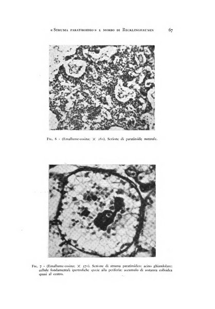 Rivista di neurologia