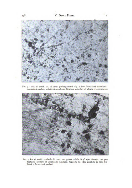 Rivista di neurologia