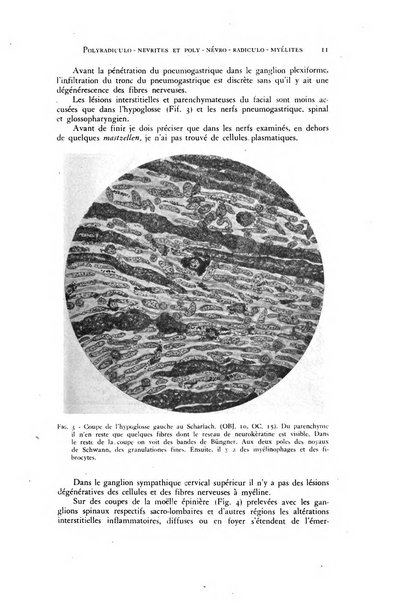 Rivista di neurologia