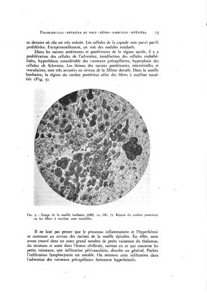 Rivista di neurologia