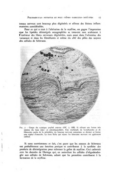 Rivista di neurologia