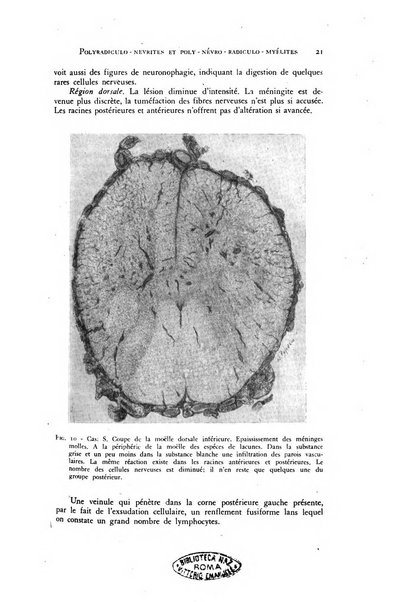 Rivista di neurologia