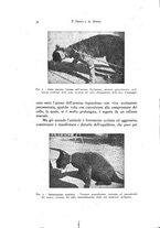 giornale/NAP0076295/1938/unico/00000040