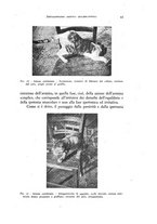giornale/NAP0076295/1938/unico/00000049