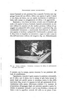 giornale/NAP0076295/1938/unico/00000051