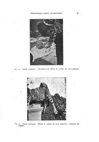 giornale/NAP0076295/1938/unico/00000053