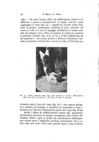 giornale/NAP0076295/1938/unico/00000054