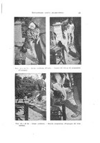 giornale/NAP0076295/1938/unico/00000055