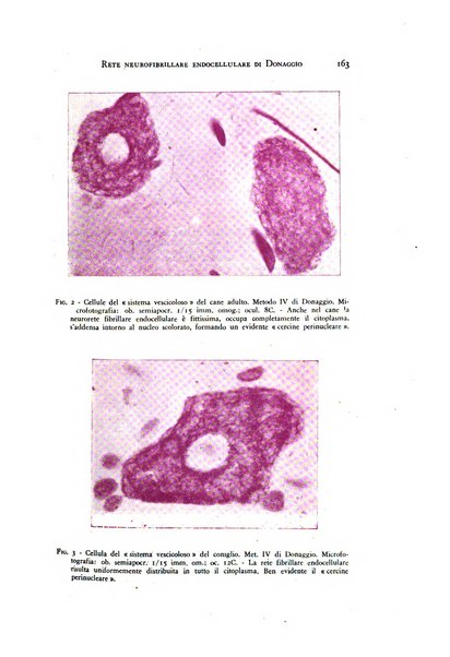 Rivista di neurologia