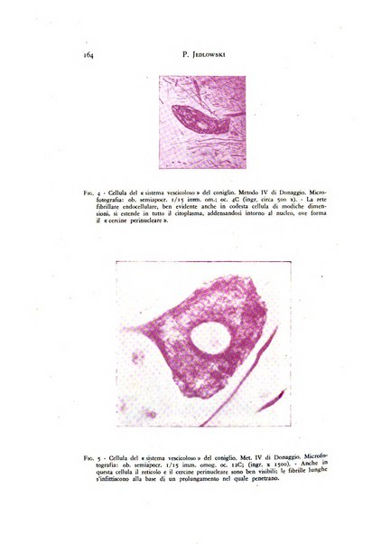 Rivista di neurologia