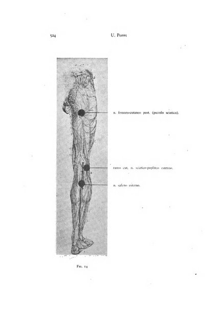 Rivista di neurologia