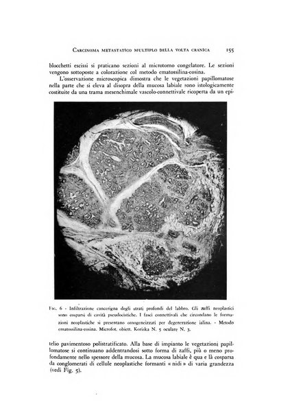 Rivista di neurologia