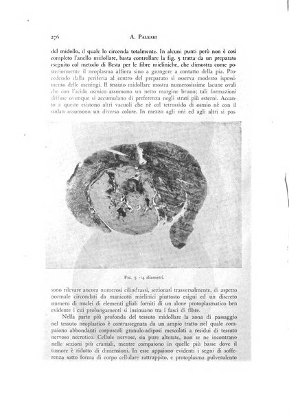 Rivista di neurologia