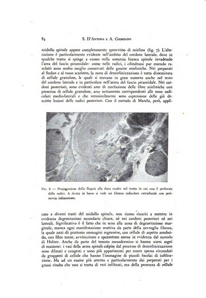 Rivista di neurologia