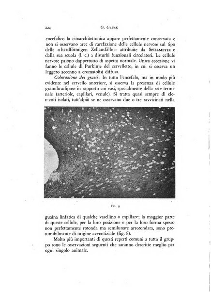 Rivista di neurologia