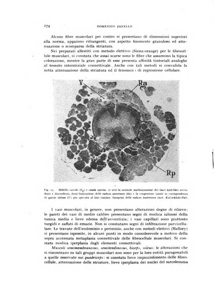 Rivista di neurologia