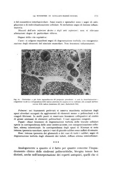 Rivista di neurologia