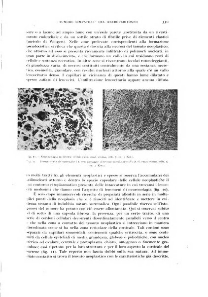 Rivista di neurologia