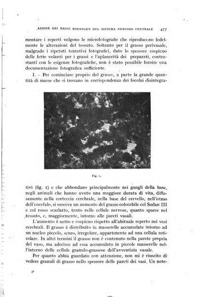 Rivista di neurologia