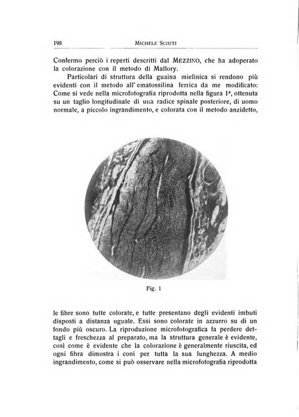 L'ospedale psichiatrico rivista di psichiatria, neurologia e scienze affini